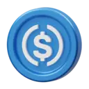 USDC Logo